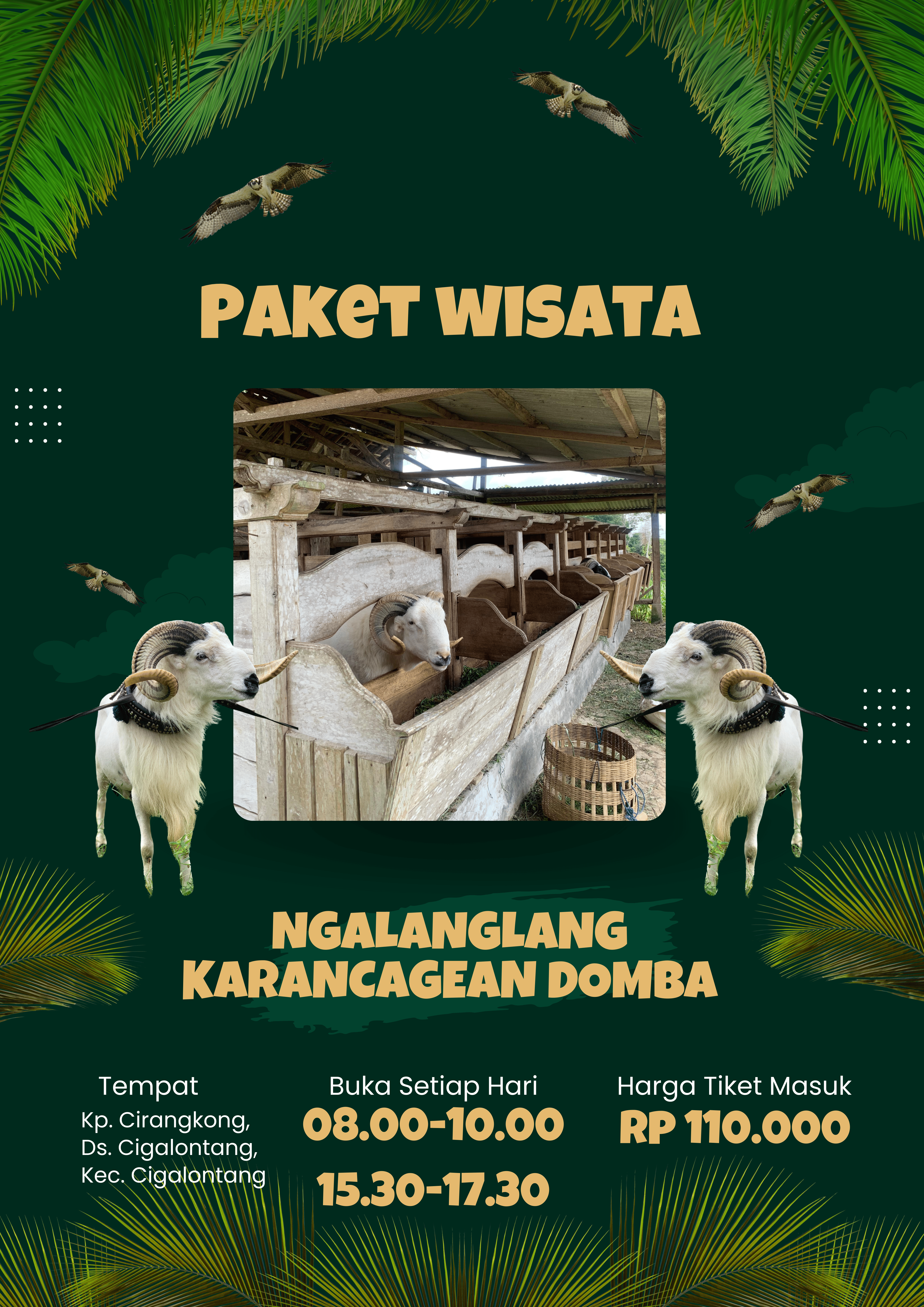 domba